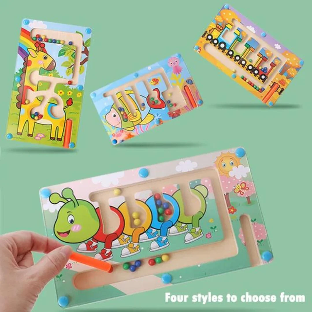 Magnetic Maze - Color Sorting