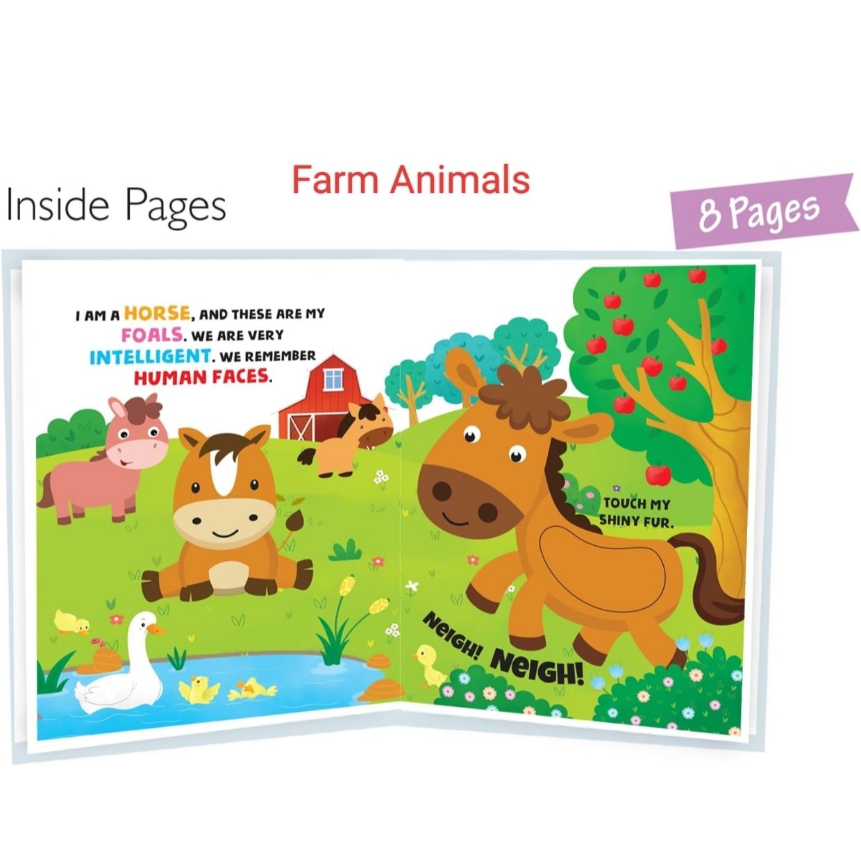 Touch and feel Book - Hardbound - Image 9