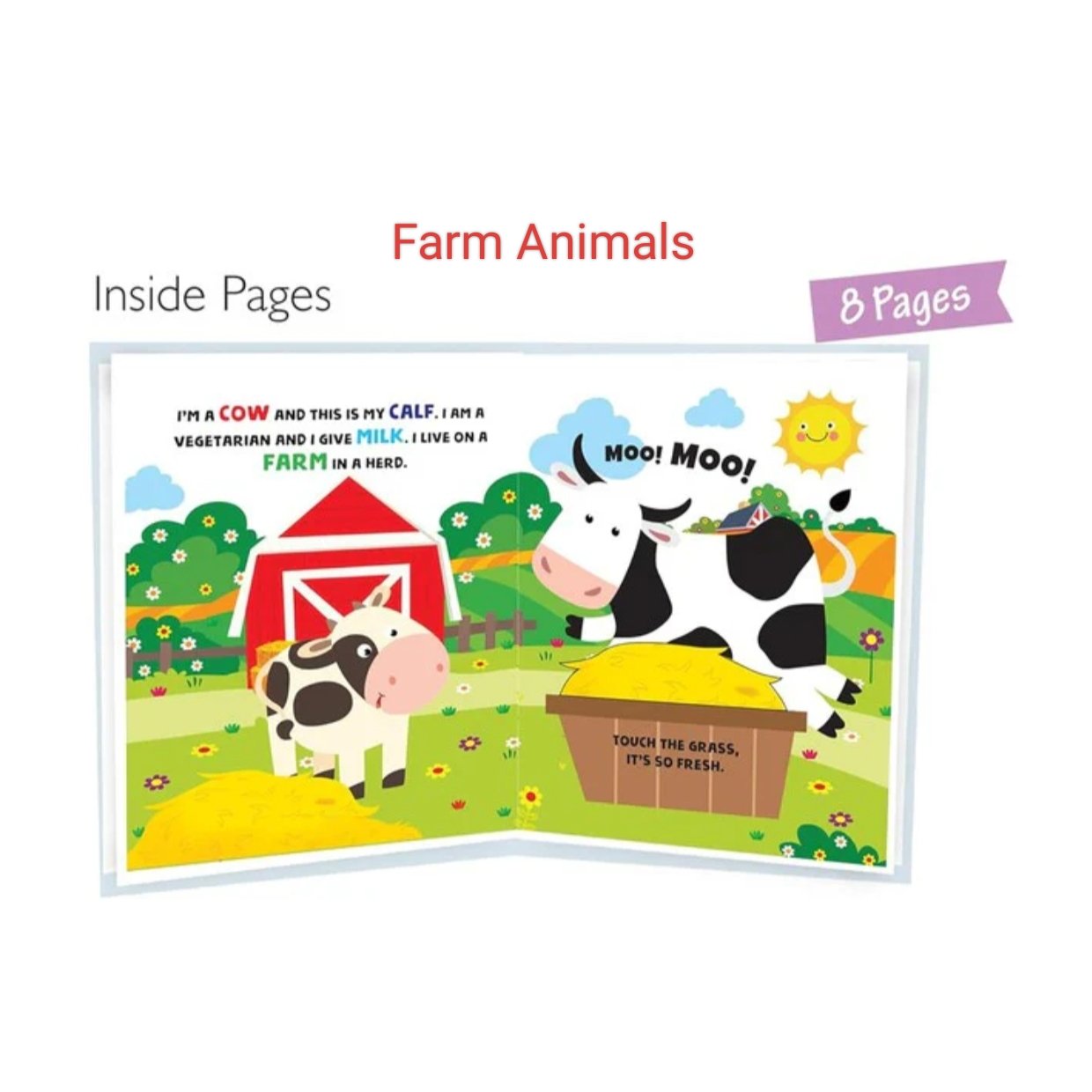 Touch and feel Book - Hardbound - Image 8
