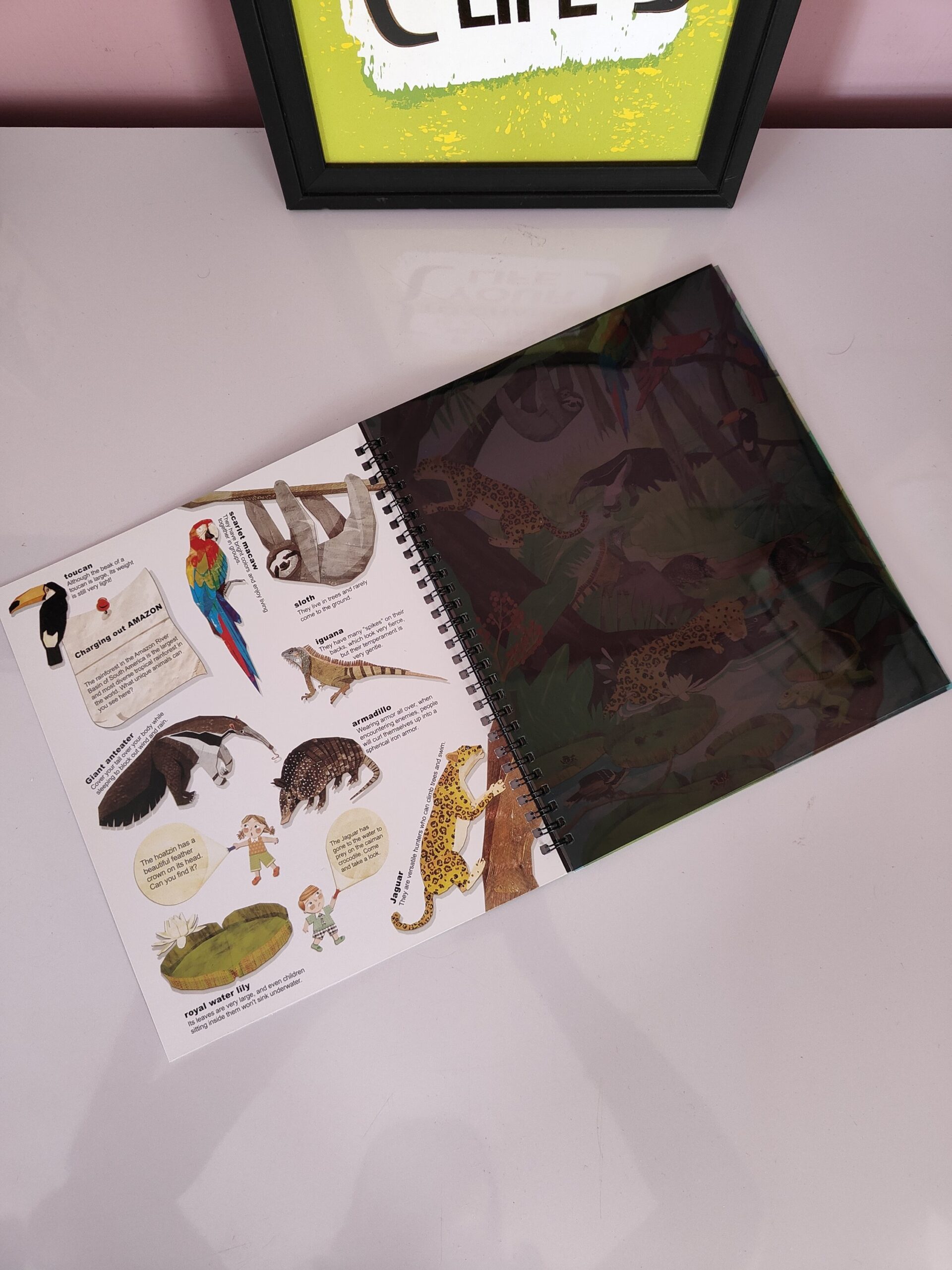 Exploration Book - Image 7