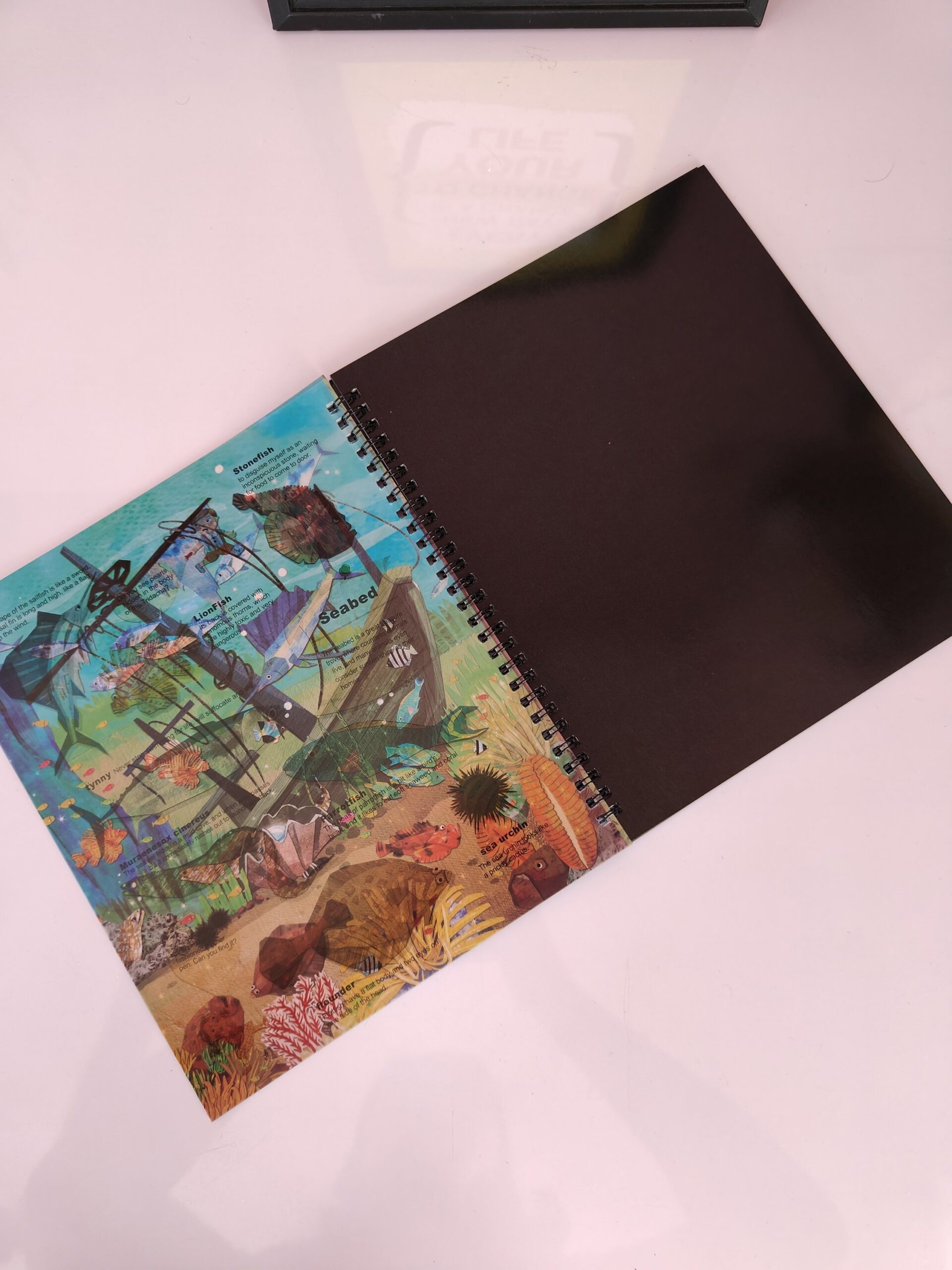 Exploration Book - Image 6