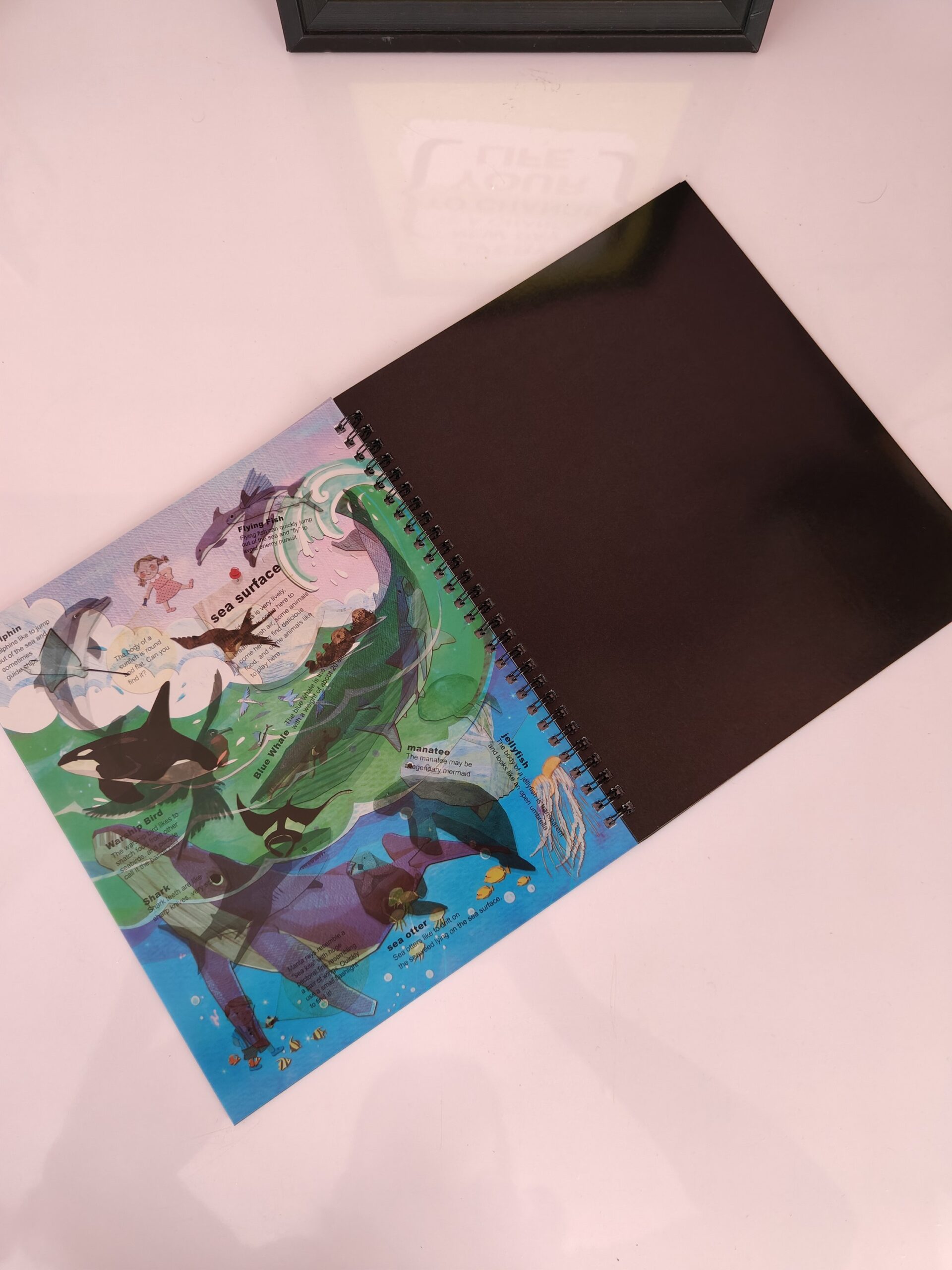 Exploration Book - Image 4