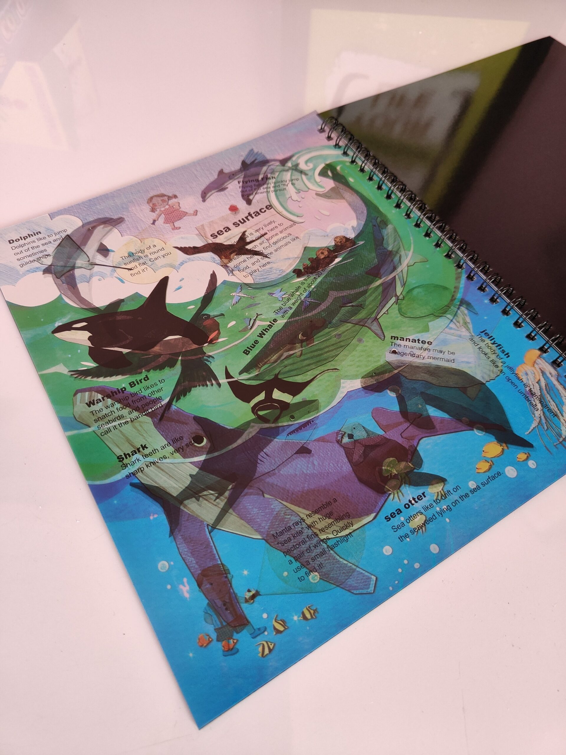 Exploration Book - Image 5