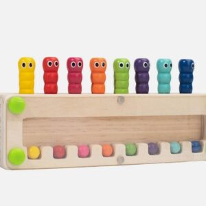 Montessori Color Sorting Bugs