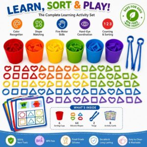 Rainbow Color & Shape Sorting