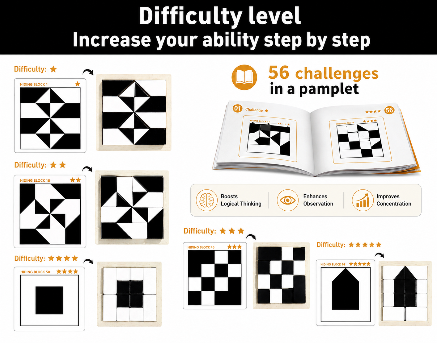 Black and White Hidden Geometric Puzzle - Image 4