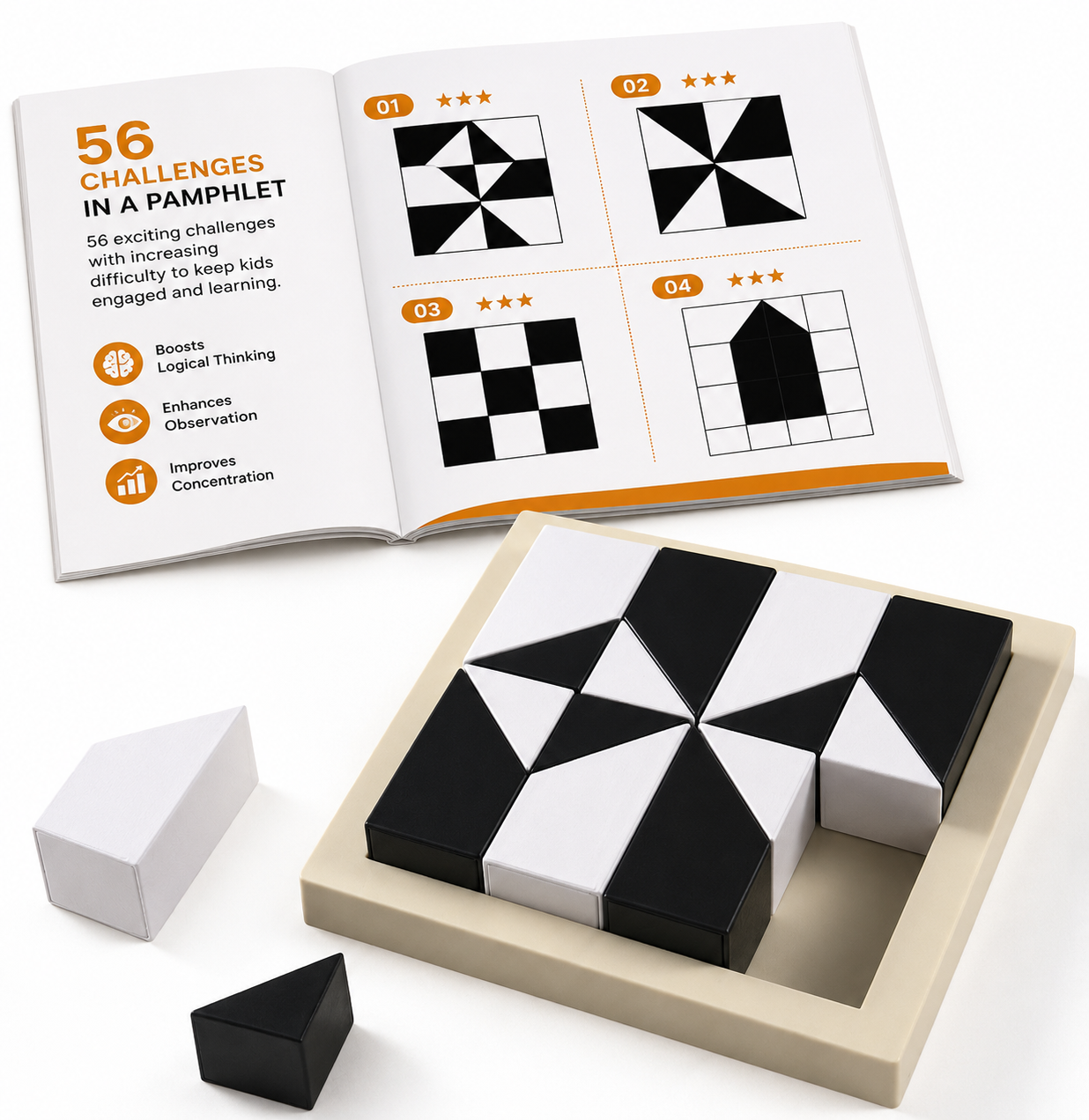 Black and White Hidden Geometric Puzzle